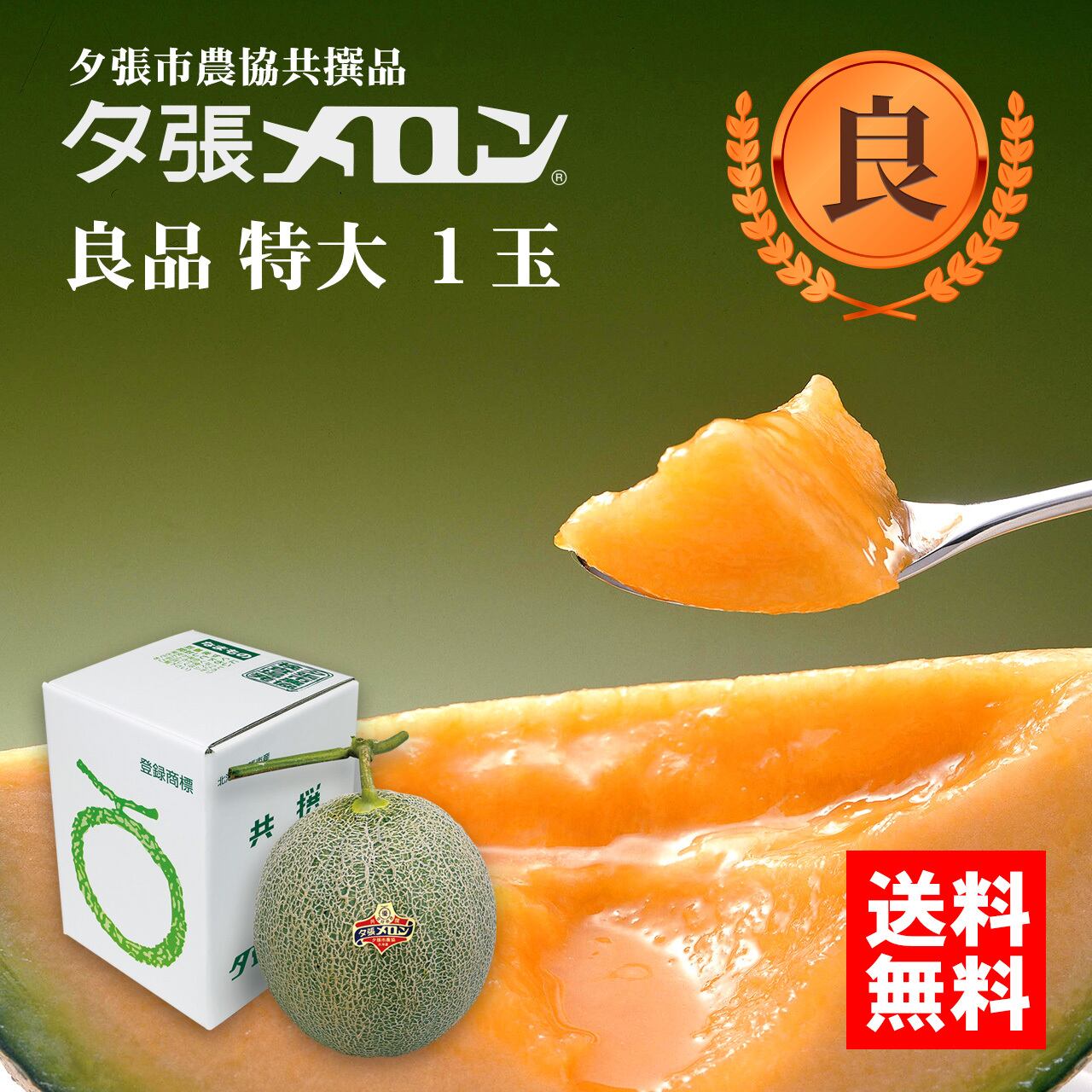 夕張市農協直送 夕張メロン 共選品 良品特大 約2 0kg 1玉 公式 オンラインショップ 北海道ギフトバザール