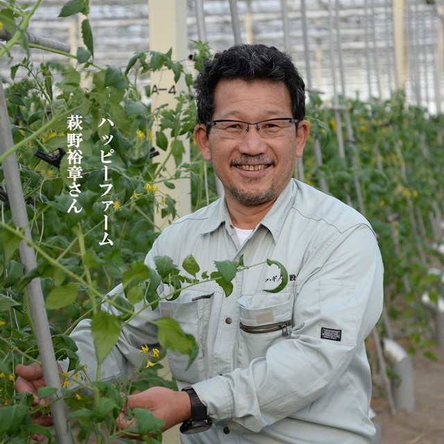 安芸虎と天日干しの干物と酢とまとのセット