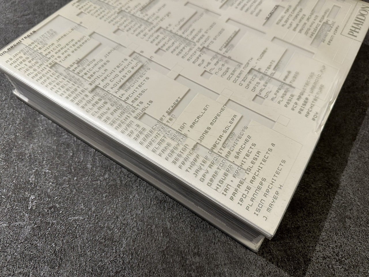 VI362】10 X 10 _ 2 100 Architects 10 Critics /visual book