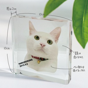 【うちの子グッズ】写真からつくる ペットアクリルフォトブロック