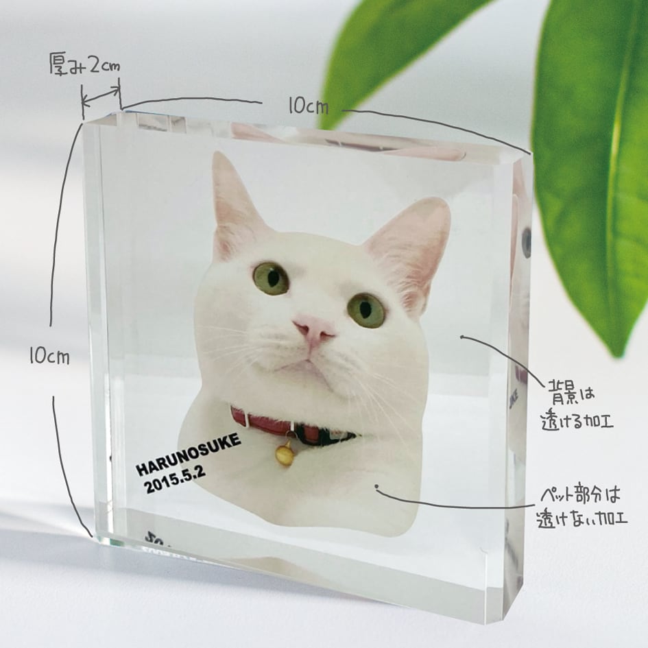 【うちの子グッズ】写真からつくる ペットアクリルフォトブロック