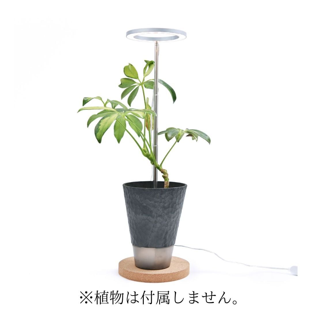 植物育成用LEDライト「オロハライト」～ タイマー付きで便利で