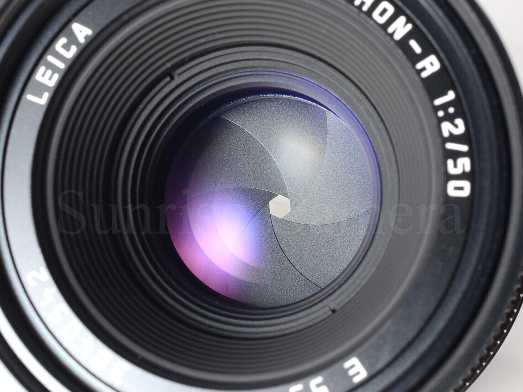 Leica R8 / SUMMICROM-R 50mm F2 E55 ライカ (61501) | サンライズ