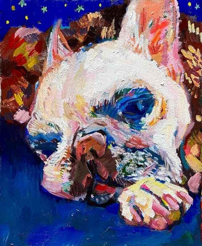 OIL COLOUR | 油彩画 #現代アート #犬 #猫