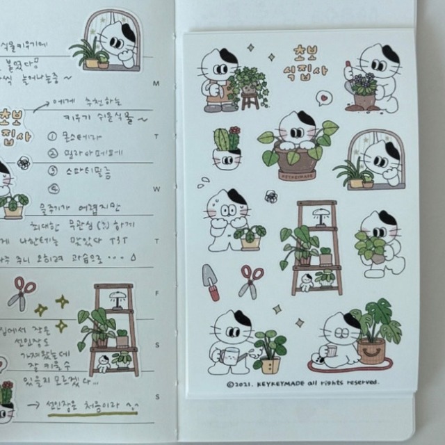 ★予約 KEYKEYMADE 〔sticker -초보식집사-〕