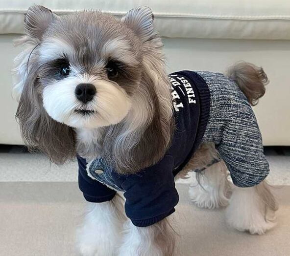 おすすめ☞《予約》2101844 のびっとデニムロンパース(3種)