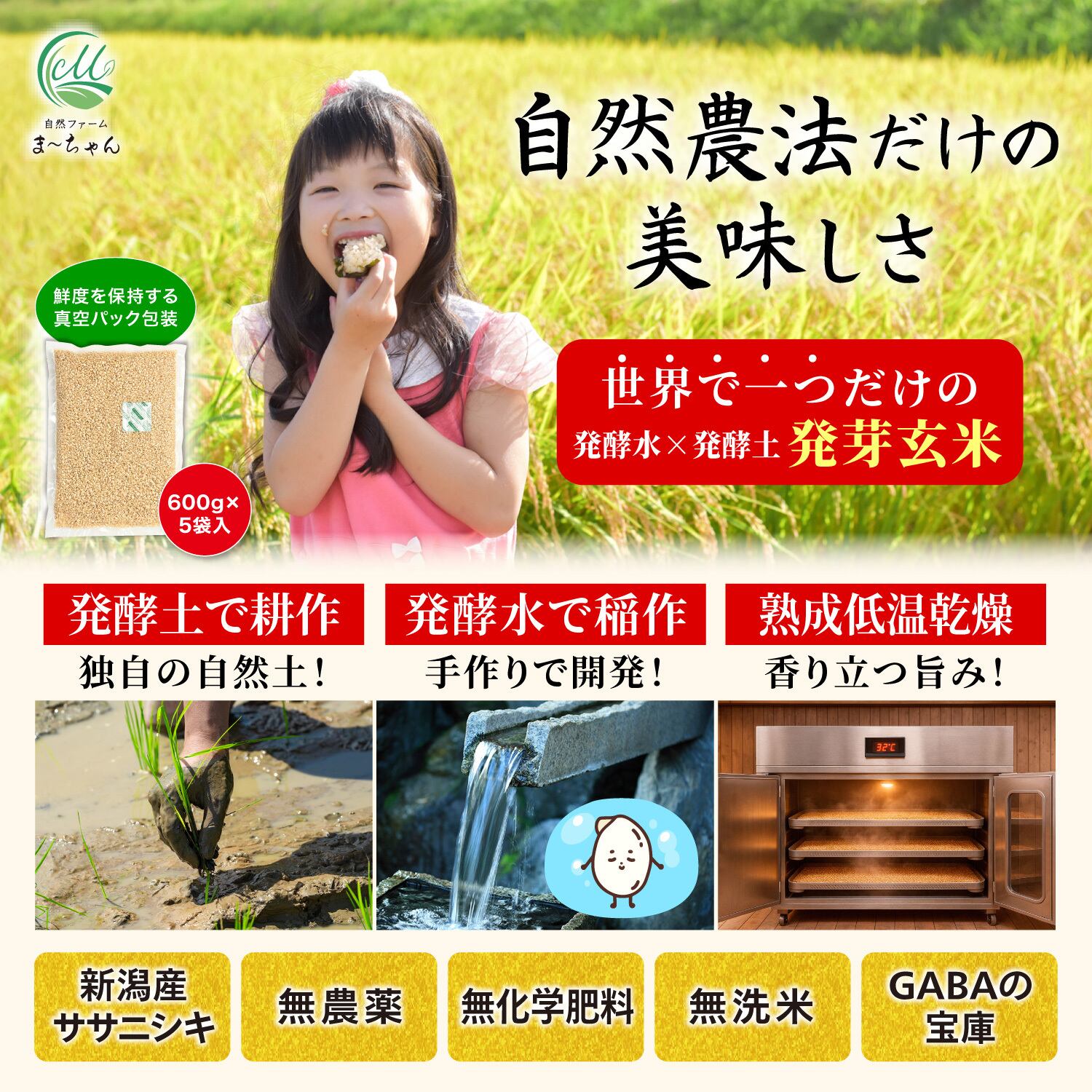 ま〜ちゃん発芽玄米【自然農法 ササニシキ】無洗米 無農薬 無肥料米