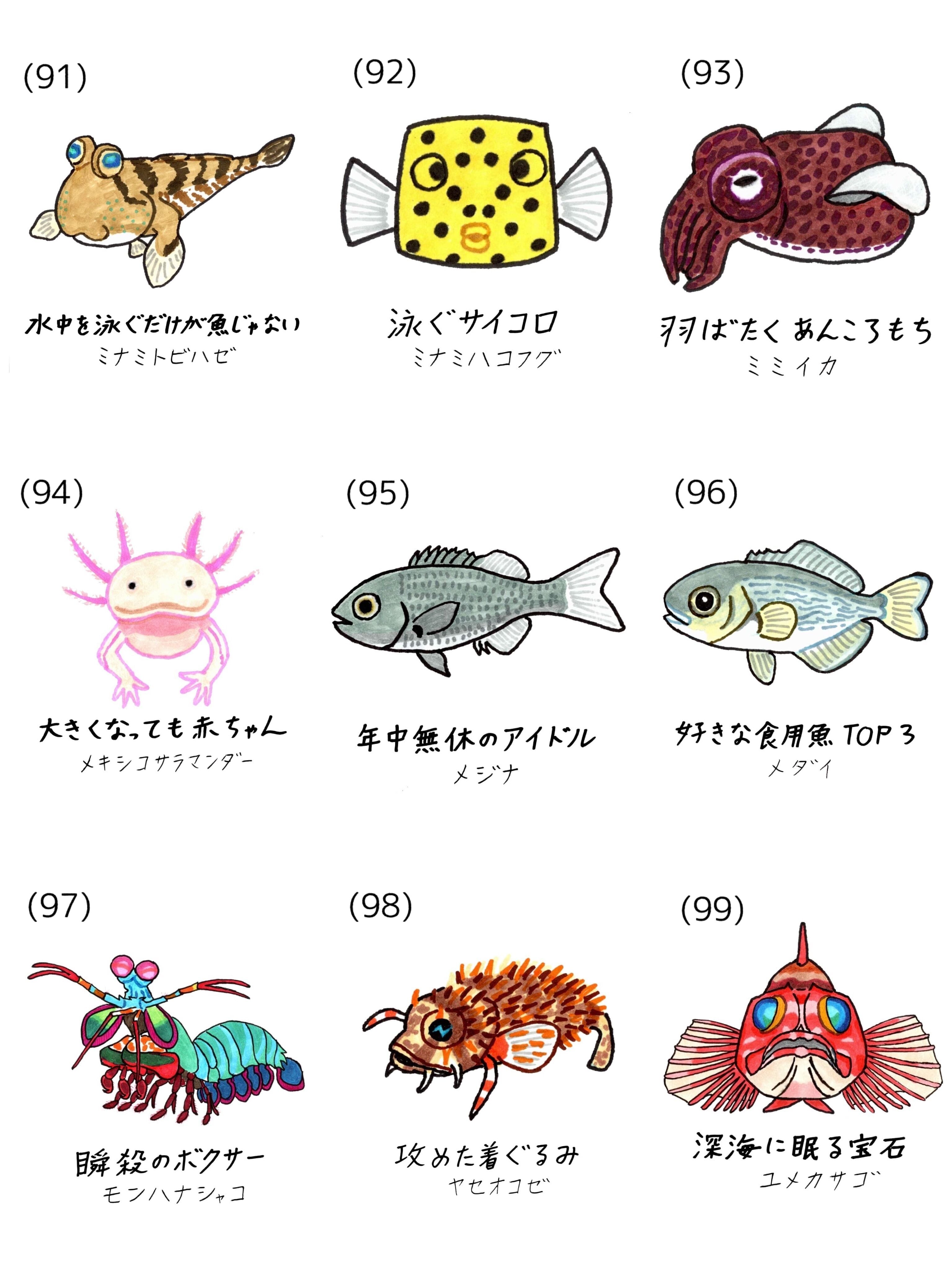 全128種】オリジナル魚名板アクリルキーホルダー | 幼魚屋オンライン