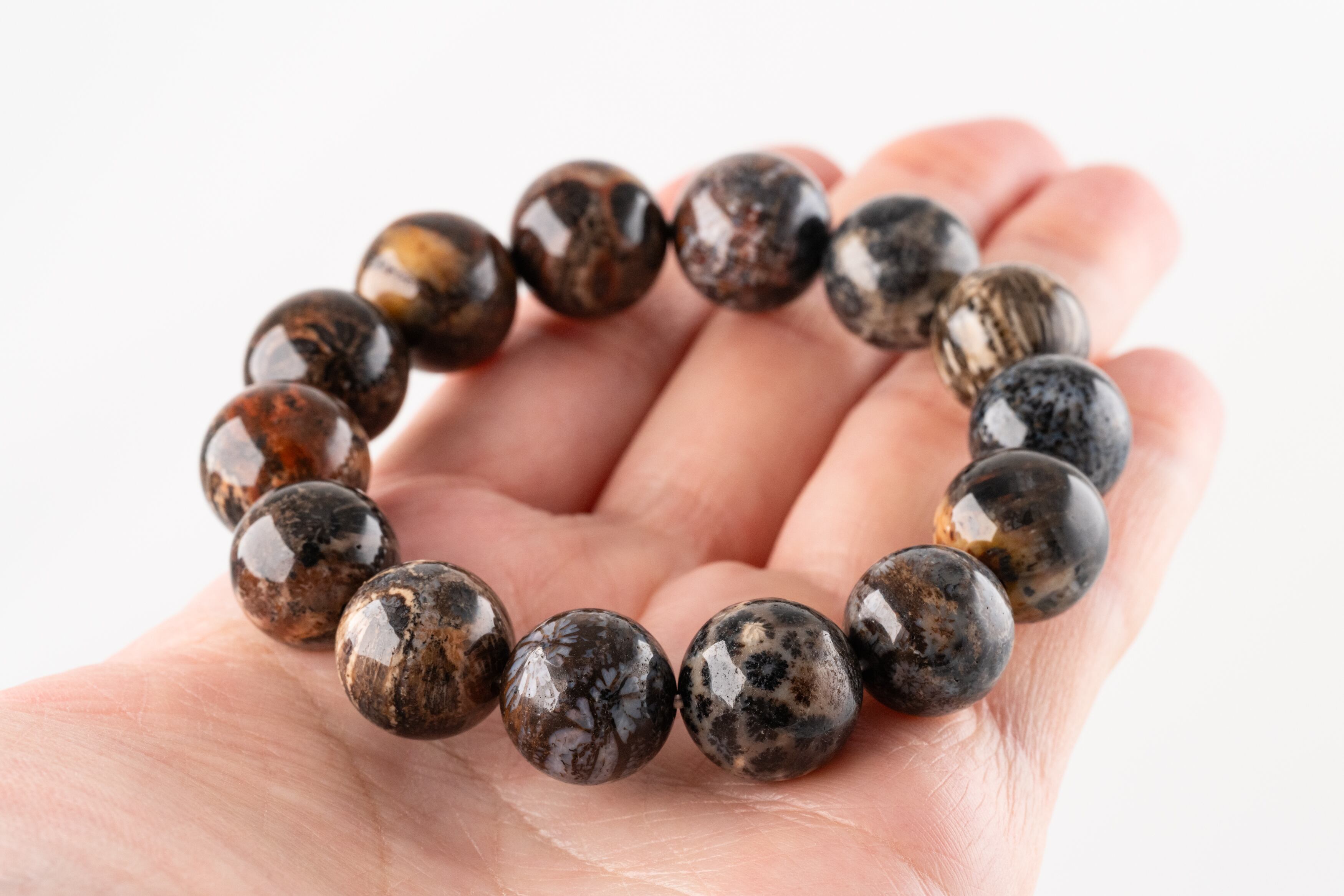 レア/一点物 フォッシルコーラル 天然石ブレスレット 14㍉ 菊目石 