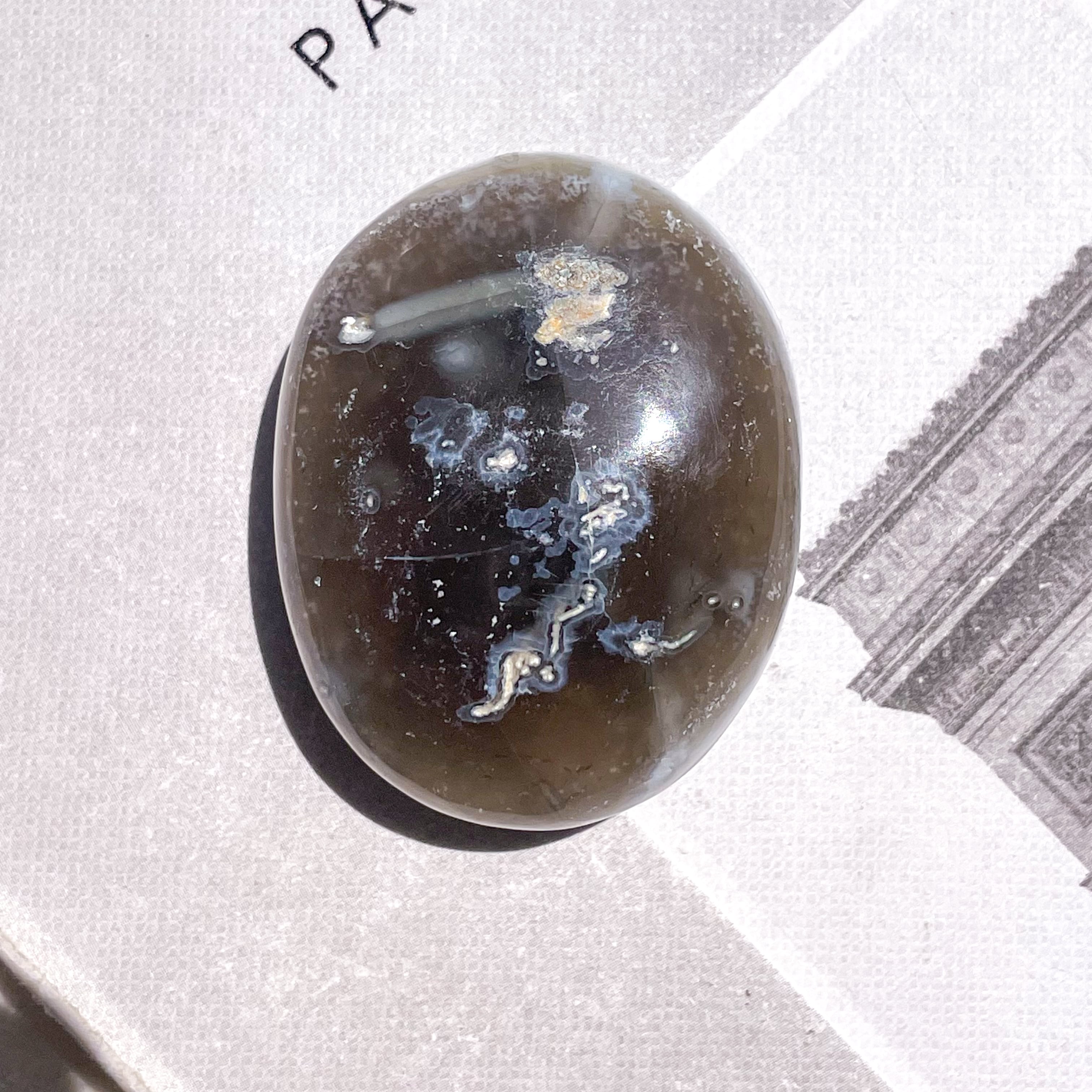 By Color Owyhee Blue Opal Palm 1 ✧ バイカラーブルーオパール