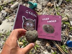 絵本・ぱみすねこ◆0歳から大人まで楽しめる軽石のえほん【通常版】