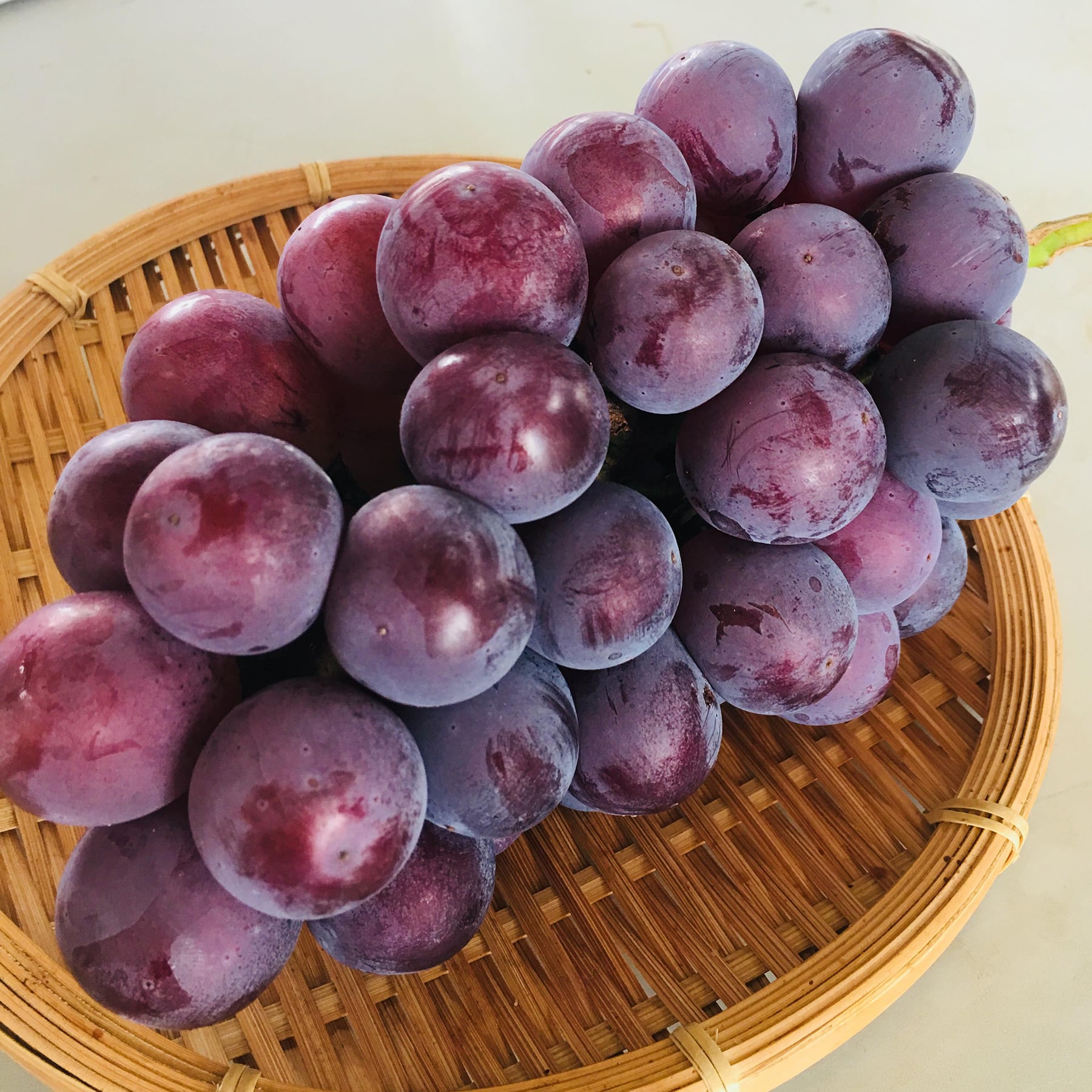 【モカ】藤稔の粒　箱込1kg弱 藤稔 1箱2kg | かんべ農園