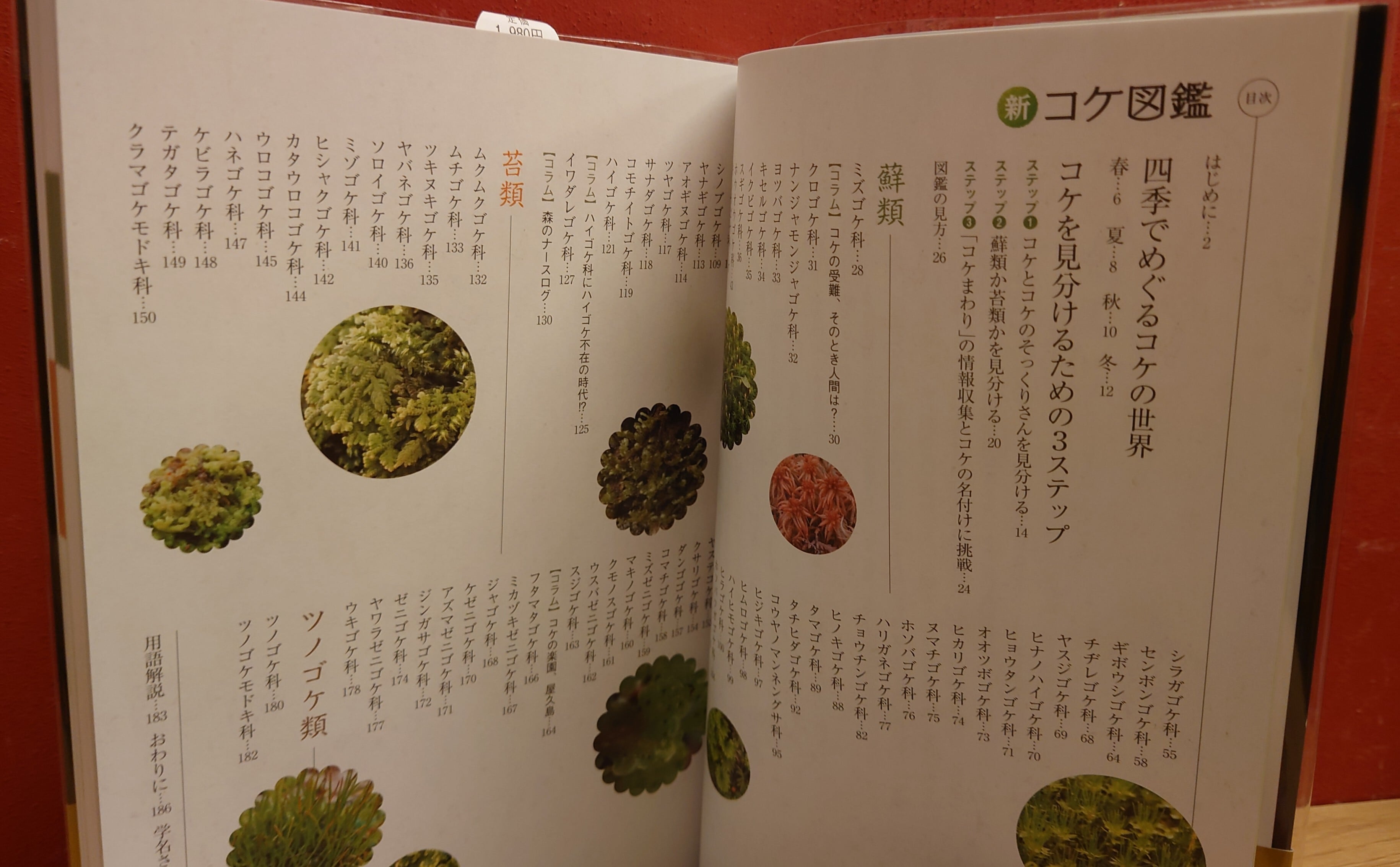 知りたい会いたい特徴がよくわかる 新コケ図鑑 | 弥生坂 緑の本棚