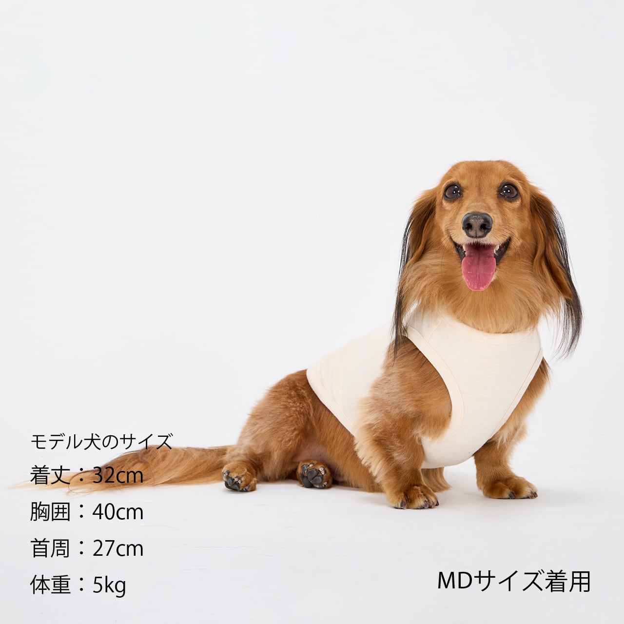 TENDER CARE T-SHIRT（M.MD.L） テンダーケアTシャツ | MANDARINE