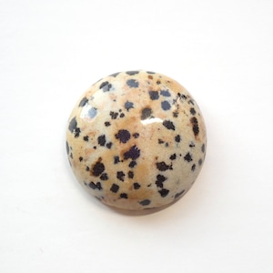 ダルメシアンジャスパー　01