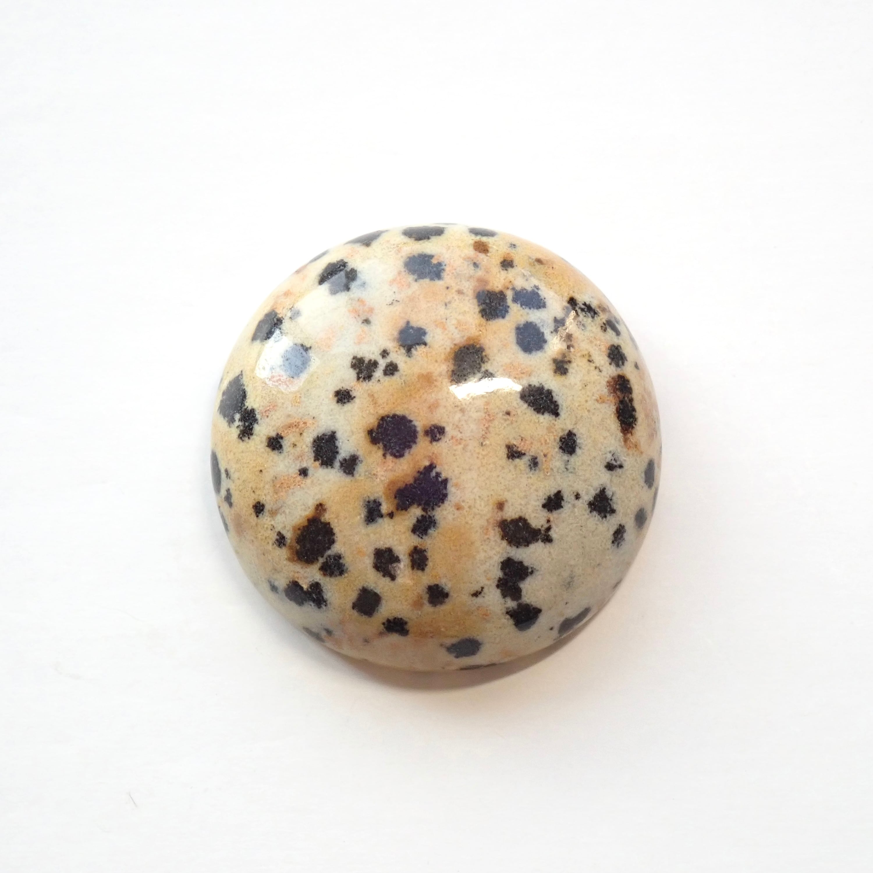 ダルメシアンジャスパー　01