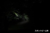 GENTOS(ジェントス) LED ヘッドライト 【明るさ200ルーメン/実用点灯7.5時間/耐塵/耐水】 単3形電池1本使用 コンパクトヘッドライト CP-131D