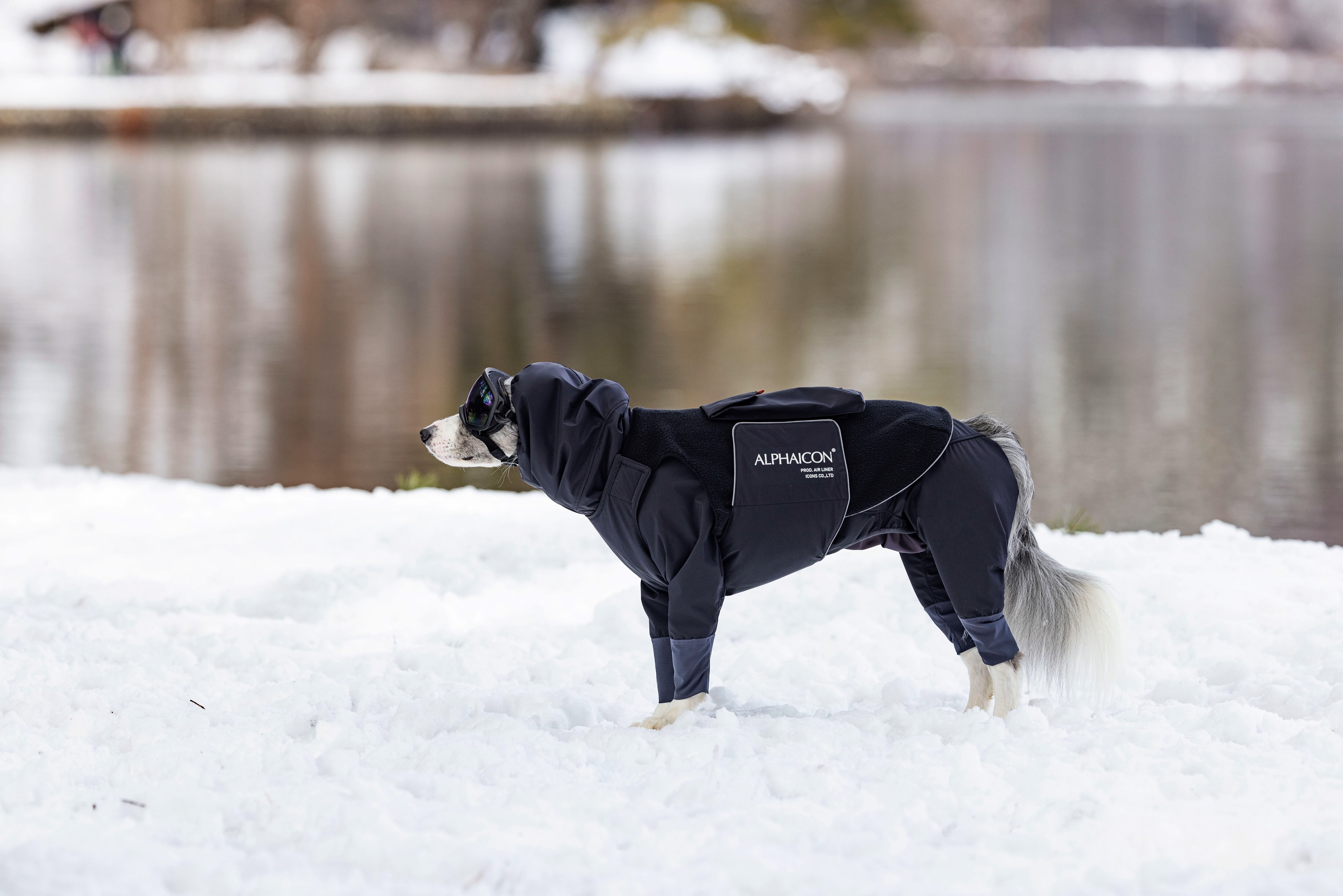 Alphaicon エアライナー×ポケット Lサイズ 新商品情報】AIR LINER / AIR LINER POCKET 10/10発売