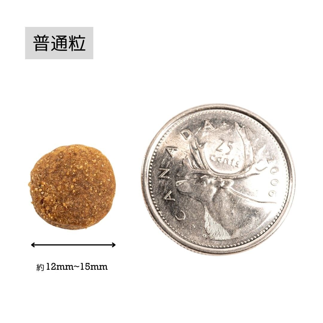 グリーントライプ＆バイソン 6.35Kg ◇ペットカインド トライプドライ