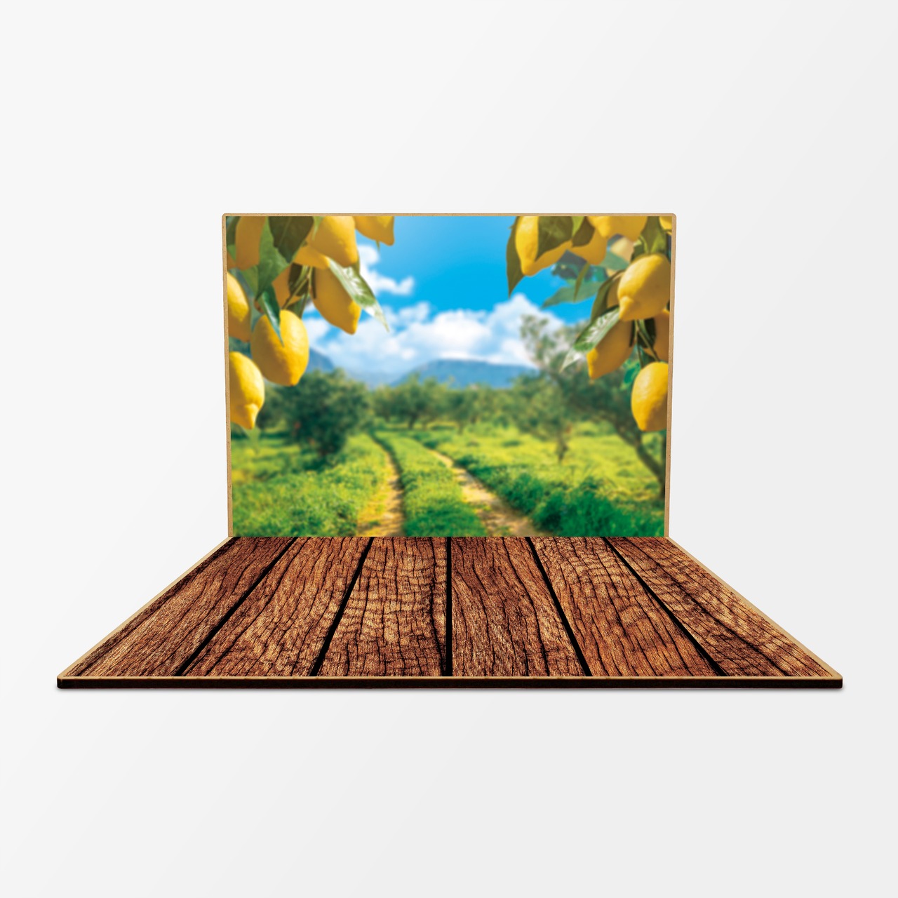 レモンがなる丘