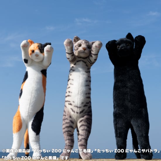 たっちぃZooガオー トラ | リードのおみせ Catail