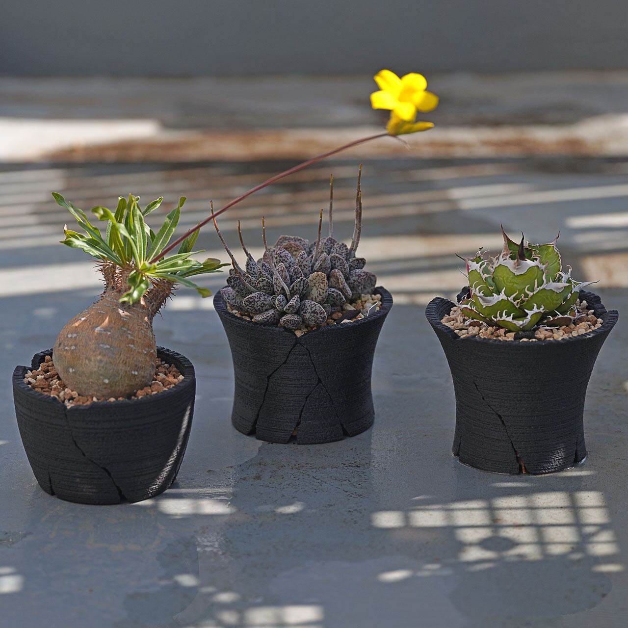 クラックスリット鉢 Bowl 12cm | Green Mountain Store