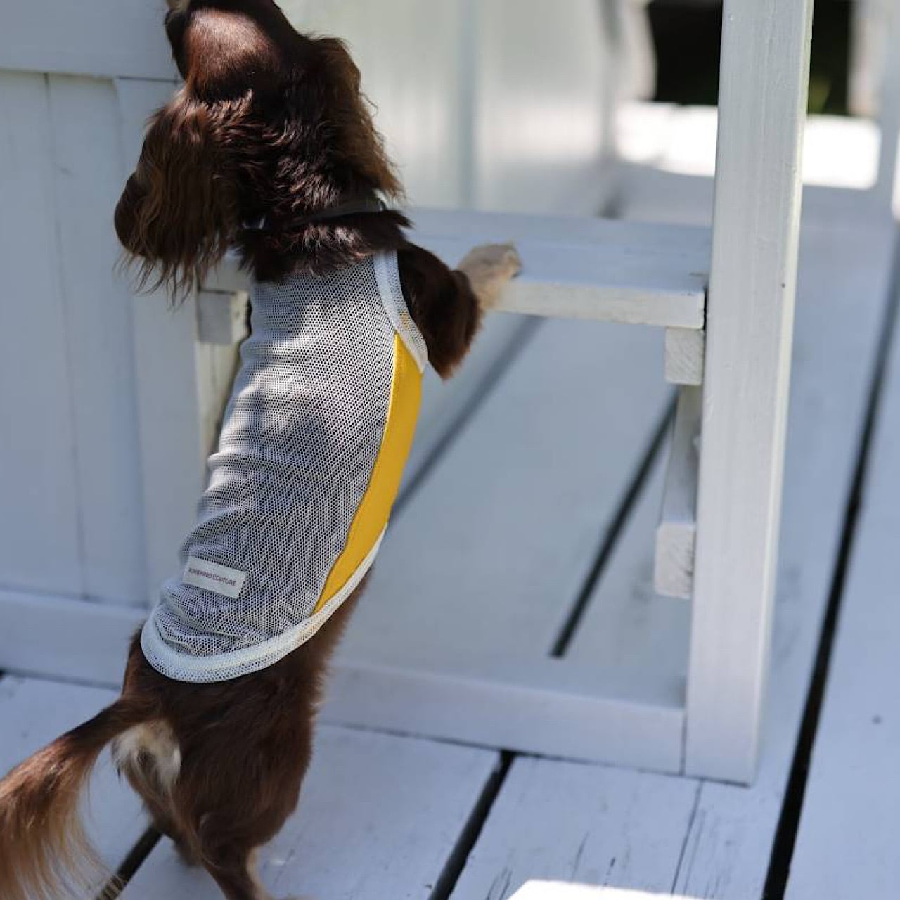 アメスリ メッシュタンク ＜水陸両用＞ | カニンヘンダックスと