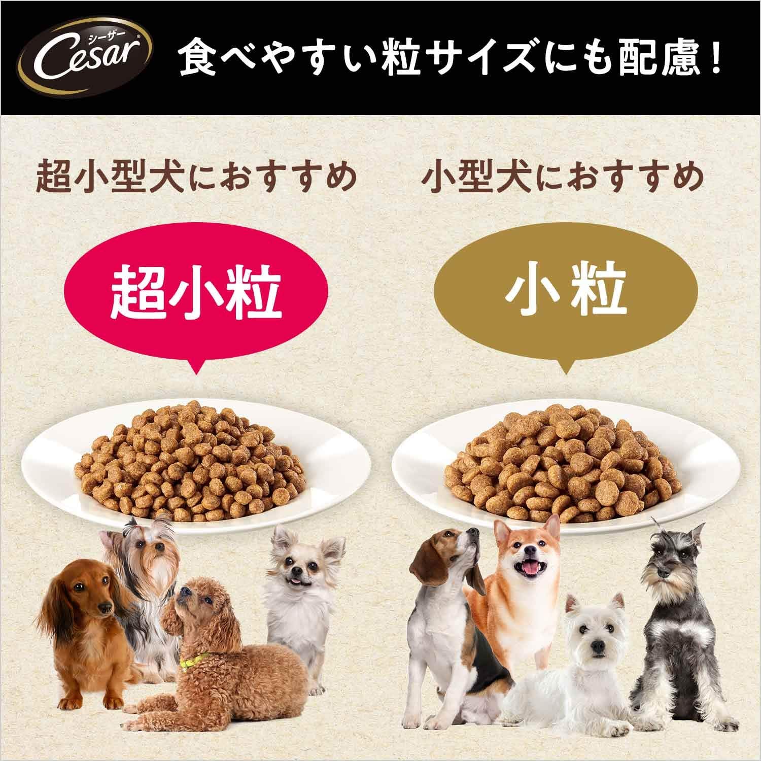 シーザードライ ドッグフード チキンと4種の農園野菜入り 成犬用 超