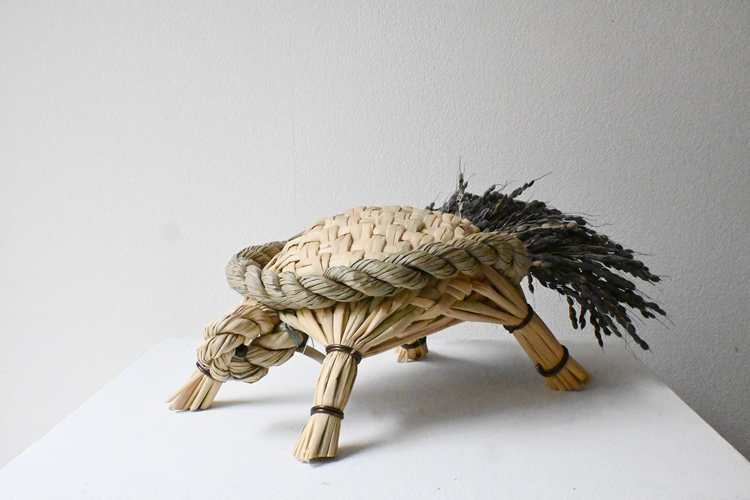 上甲清|亀(大・黒米)