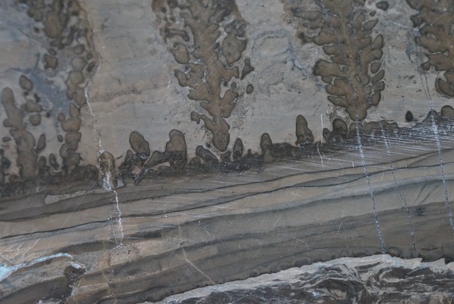 コタム・マーブル　Bristol Picture Stone 4