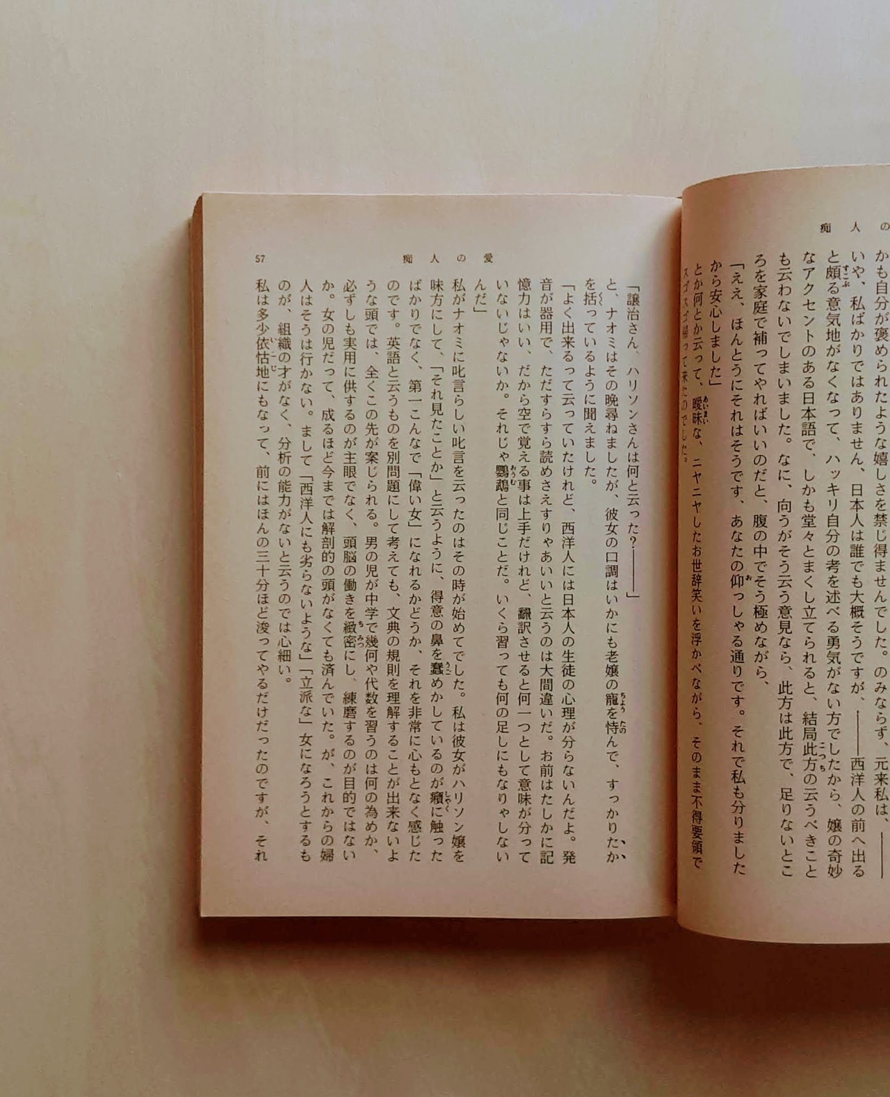 痴人の愛 / 谷崎潤一郎