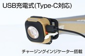 GENTOS(ジェントス) LED ヘッドライト USB充電式 【明るさ360ルーメン/実用点灯2時間/防滴】 専用充電池使用 CPシリーズ CP-360RAB