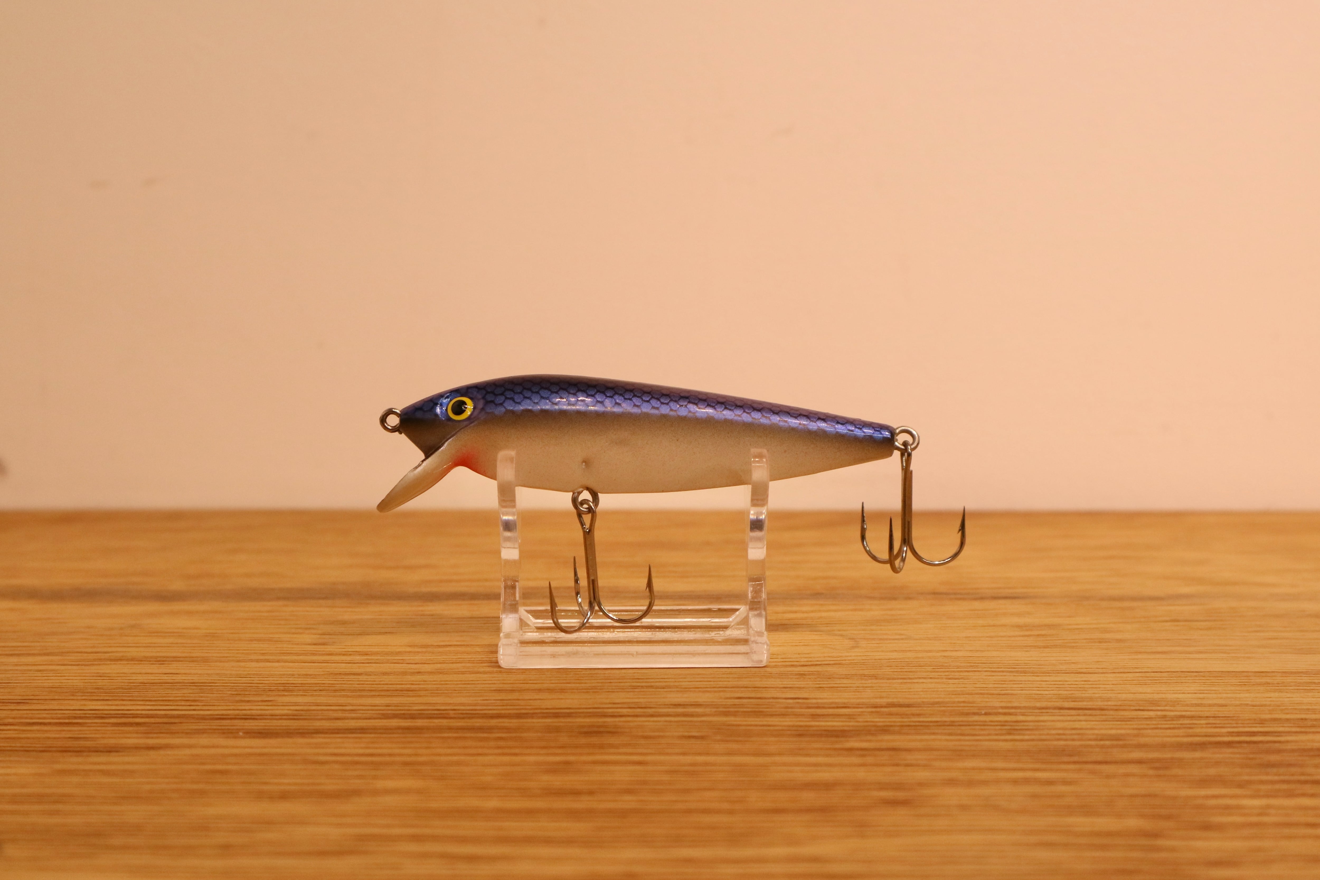 CORMORAN (コーモラン) / シュバンゲン