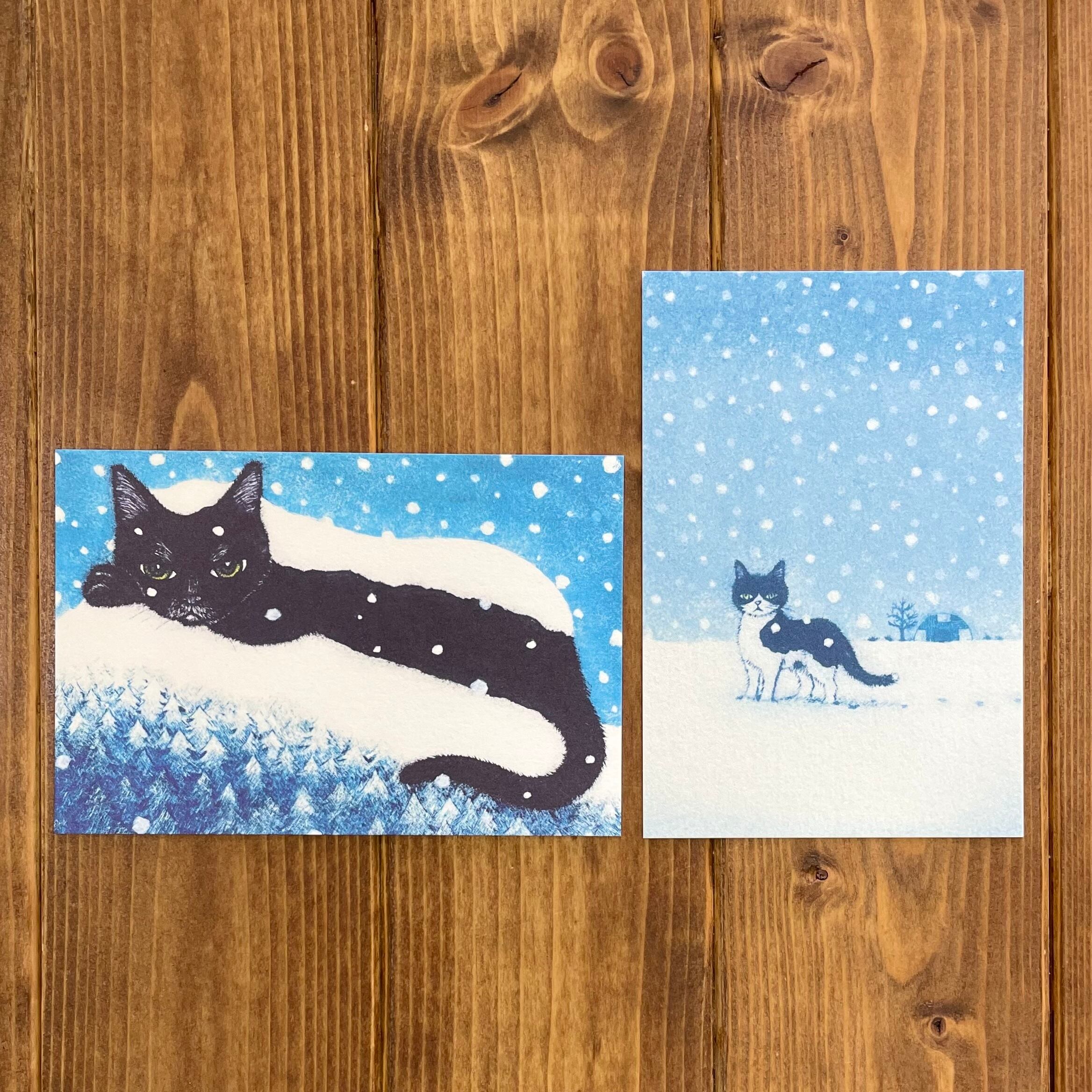 ▸坂本 千明 | 猫雑貨のお店 ネコ曜日