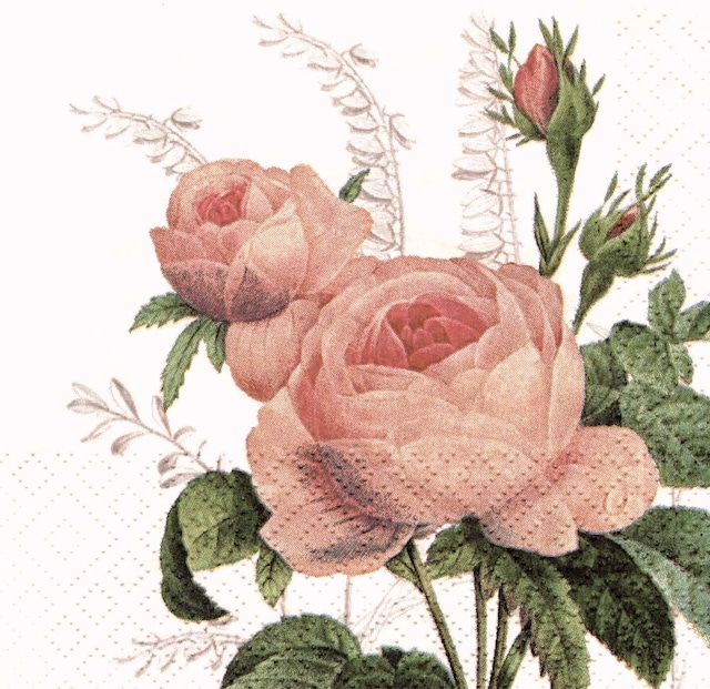 【Braun+Company】バラ売り2枚 カクテルサイズ ペーパーナプキン Wonderful Rose コーラルピンク