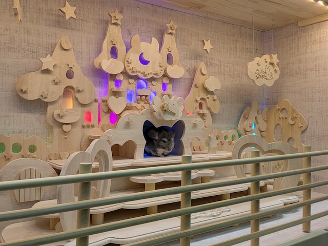 P様☆オーダーレイアウト一式☆