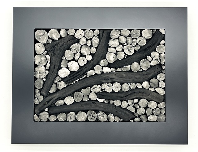 紀州備長炭 インテリア  フレーム 『大樹』 額 40cm×31.5cm 長方形 置物 オブジェ 消臭 調湿