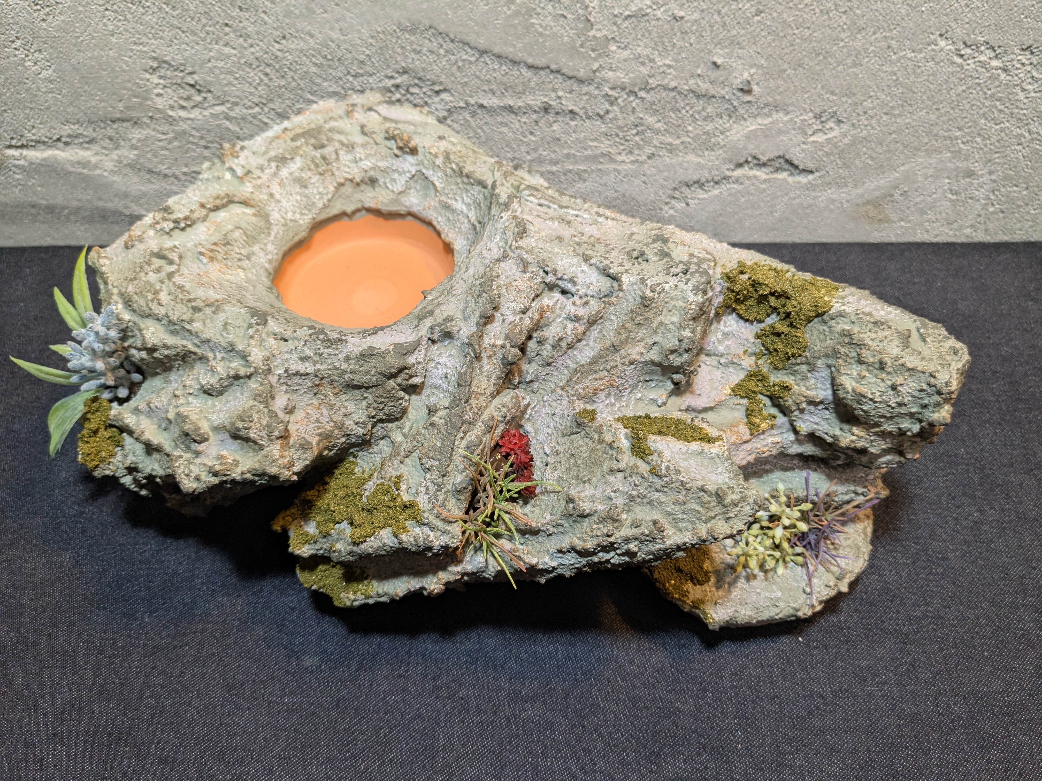 爬虫類用造形アート ともえ屋