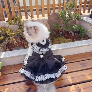 予約(海外ハンドメイド)【№B5913‐S】モノトーン フラワードッド ドレス(2way) 予約(海外ハンドメイド)【№B5913‐S】モノトーン フラワードッド ドレス(2way)