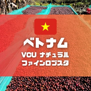 【希少】ベトナム　VCU　ナチュラルファインロブスタ　100g