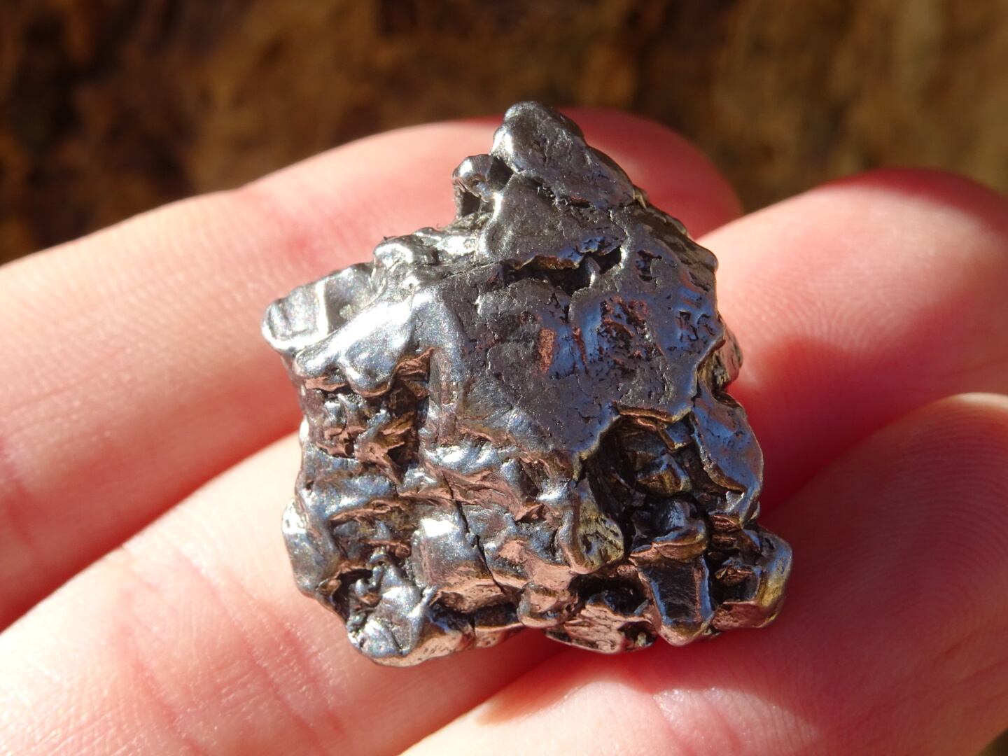 カンポデルシエロ鉄隕石 ~Cosmic Iron~ | 虹石屋