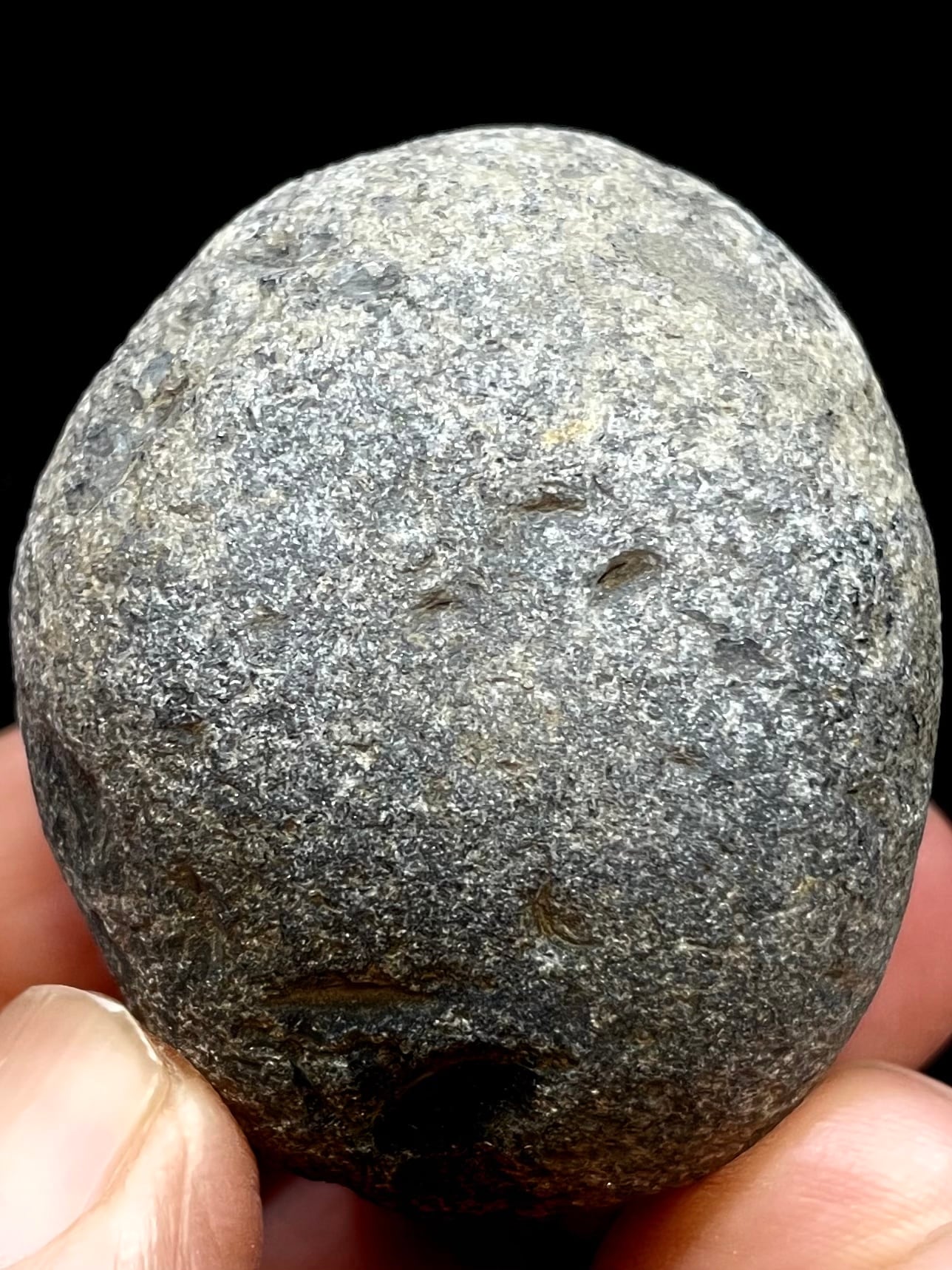 24) 神聖「神威の魂(カムイノタマシイ)」