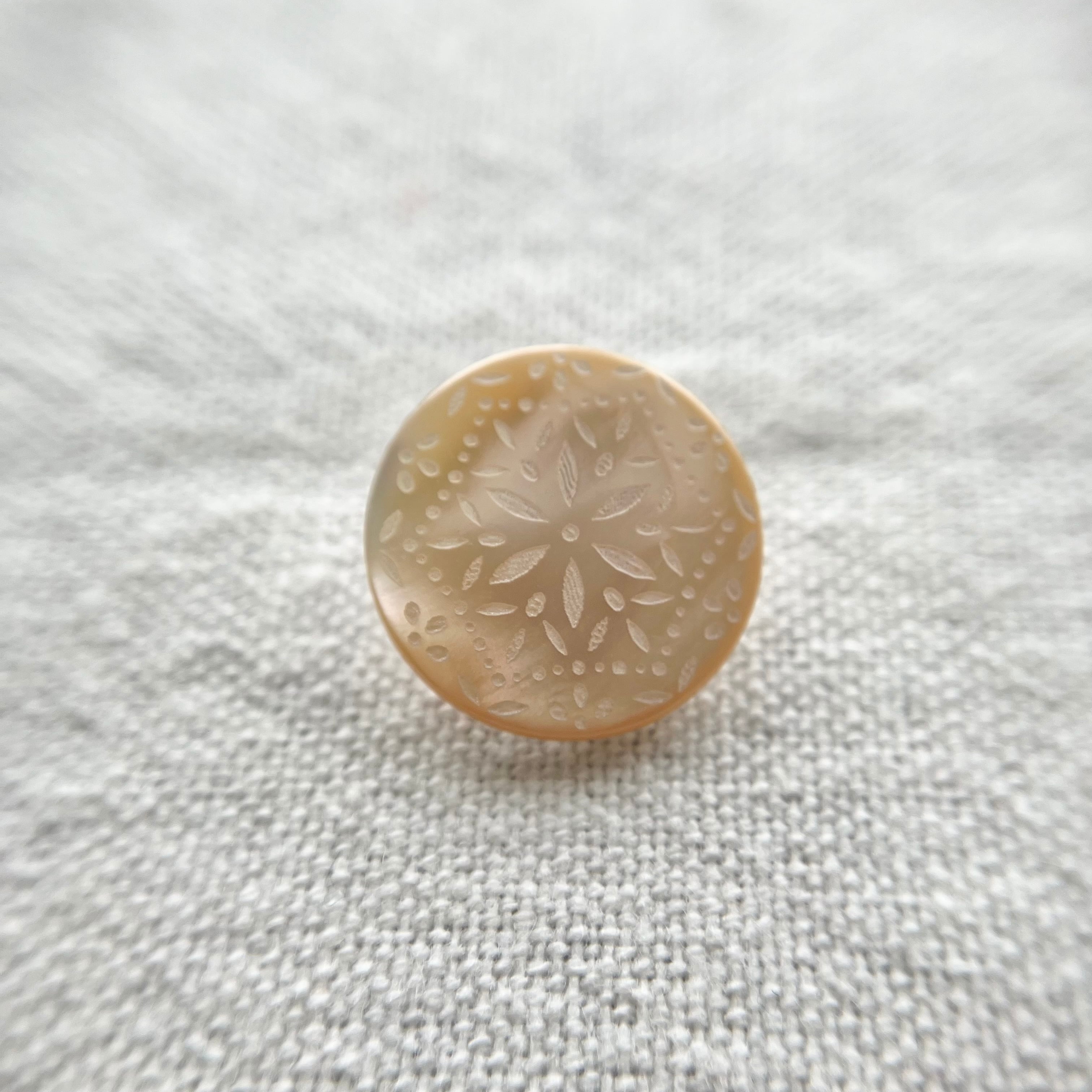 カッティングフラワー(高瀬貝)18㎜