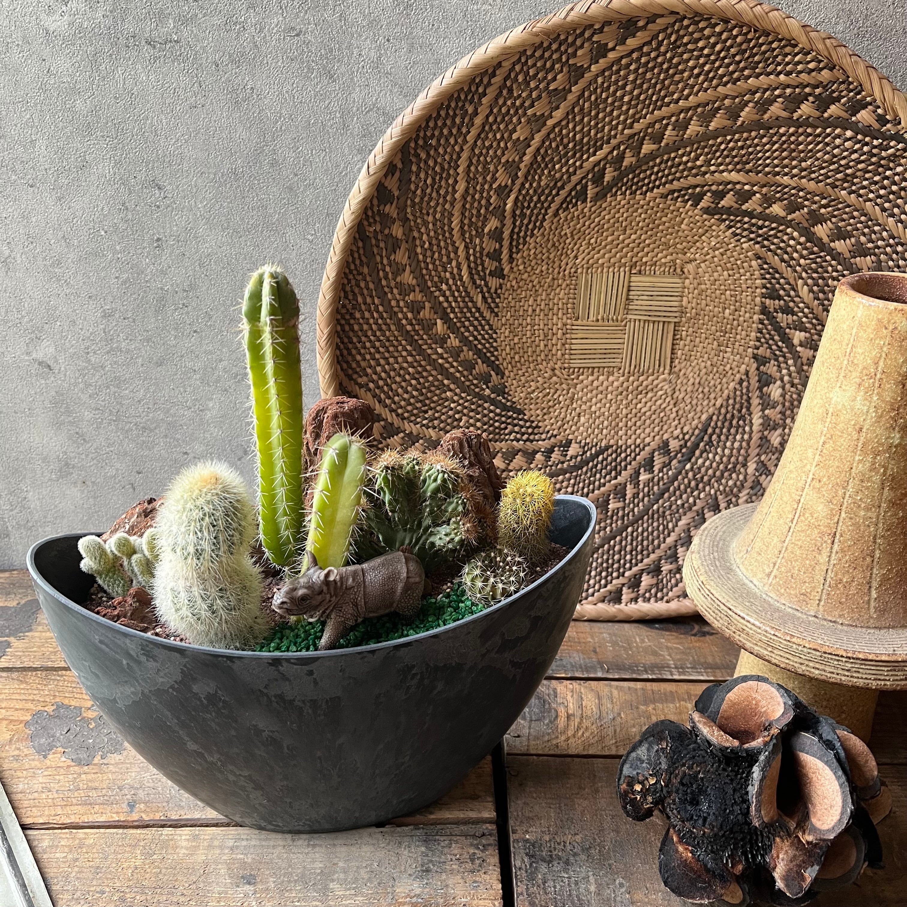 Rhinoceros Kids サイ | SABOTEN MISSILE