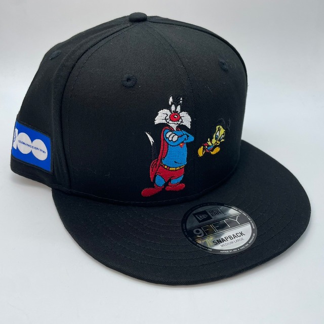 NEW ERA 9FIFTY/950　ワーナーブラザーズ　100th 海外入荷