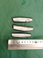 【2週間の奇跡】宝鰯/たからいわし/体脂肪質20～30％/小羽10匹/330~400g【冷凍】