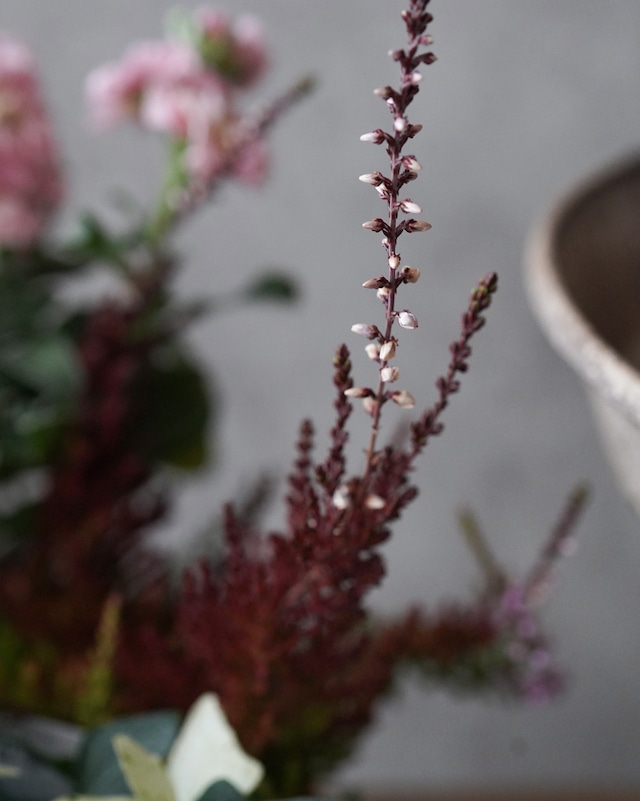 【ミニ花苗セット】鮮やかな赤〜ピンクパンジーのミニ寄せ植えセット