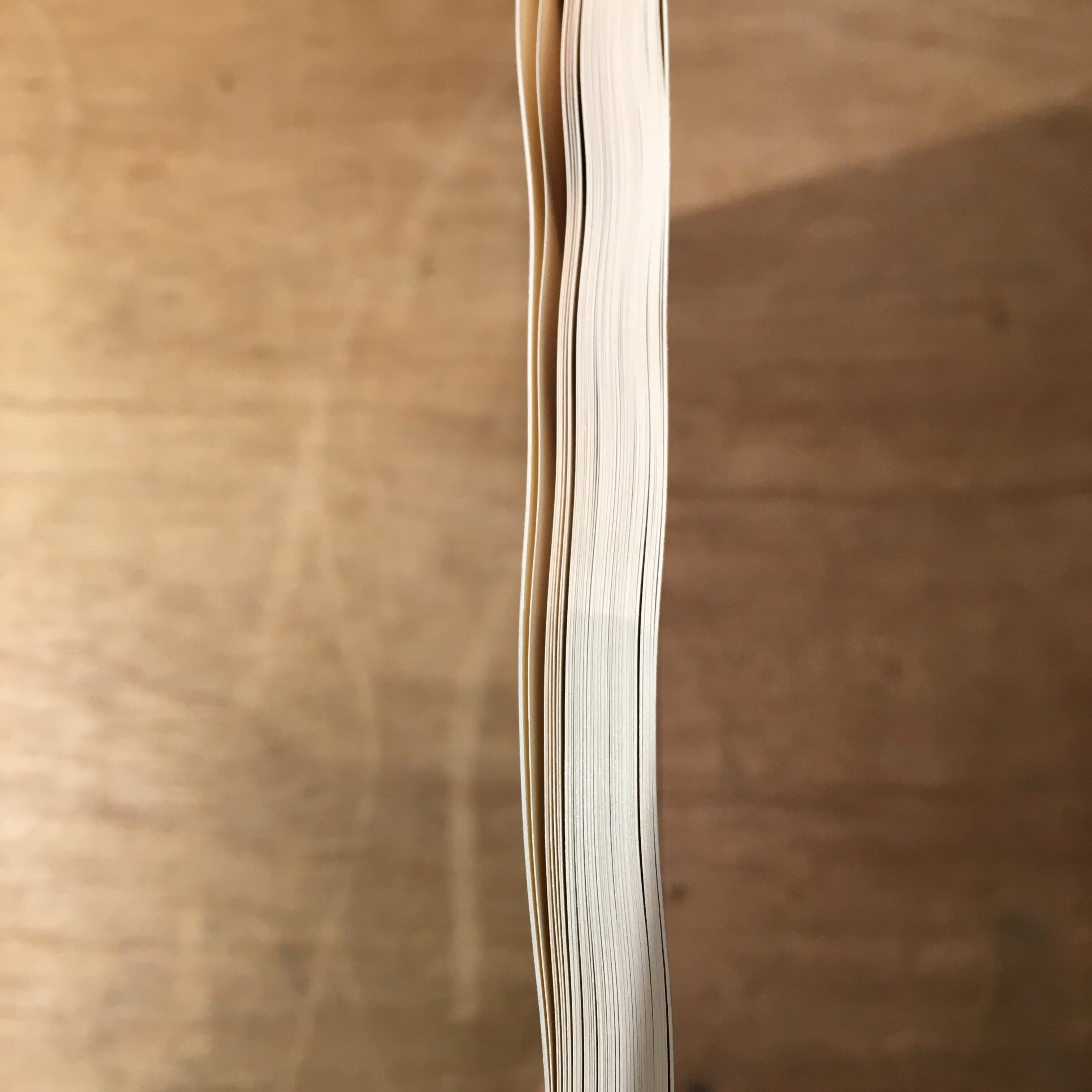 CAPE LIGHT Color photographs by Joel Meyerowitz（ジョエル