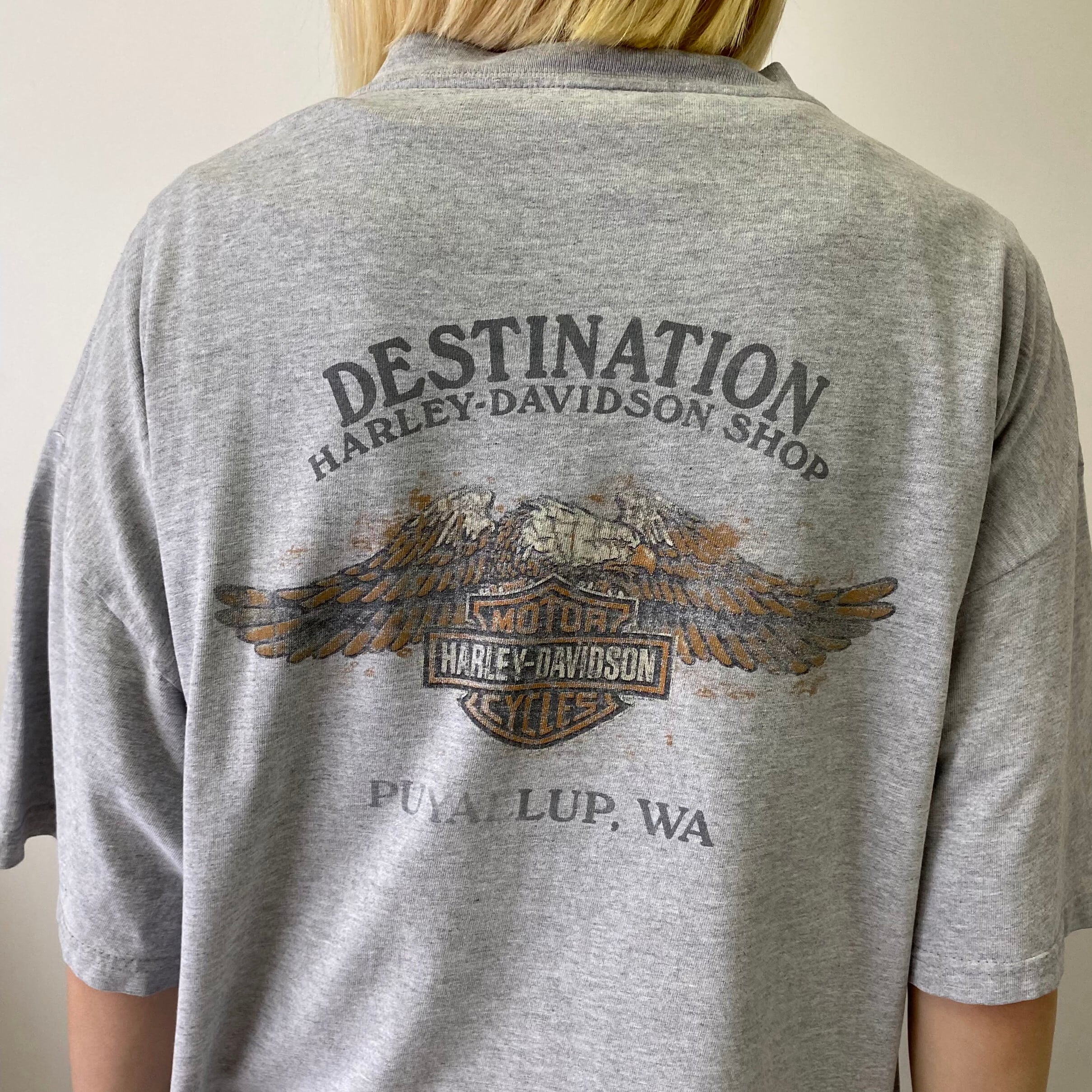 USA製 90年代 Harley-Davidson ハーレーダビッドソン 胸ロゴ バックプリント ポケットTシャツ メンズXL 古着 90s  ヴィンテージ ビンテージ モーターサイクル バイクTシャツ グレー【Tシャツ】【GS07】【P2000】 | cave 古着屋【公式】古着通販サイト