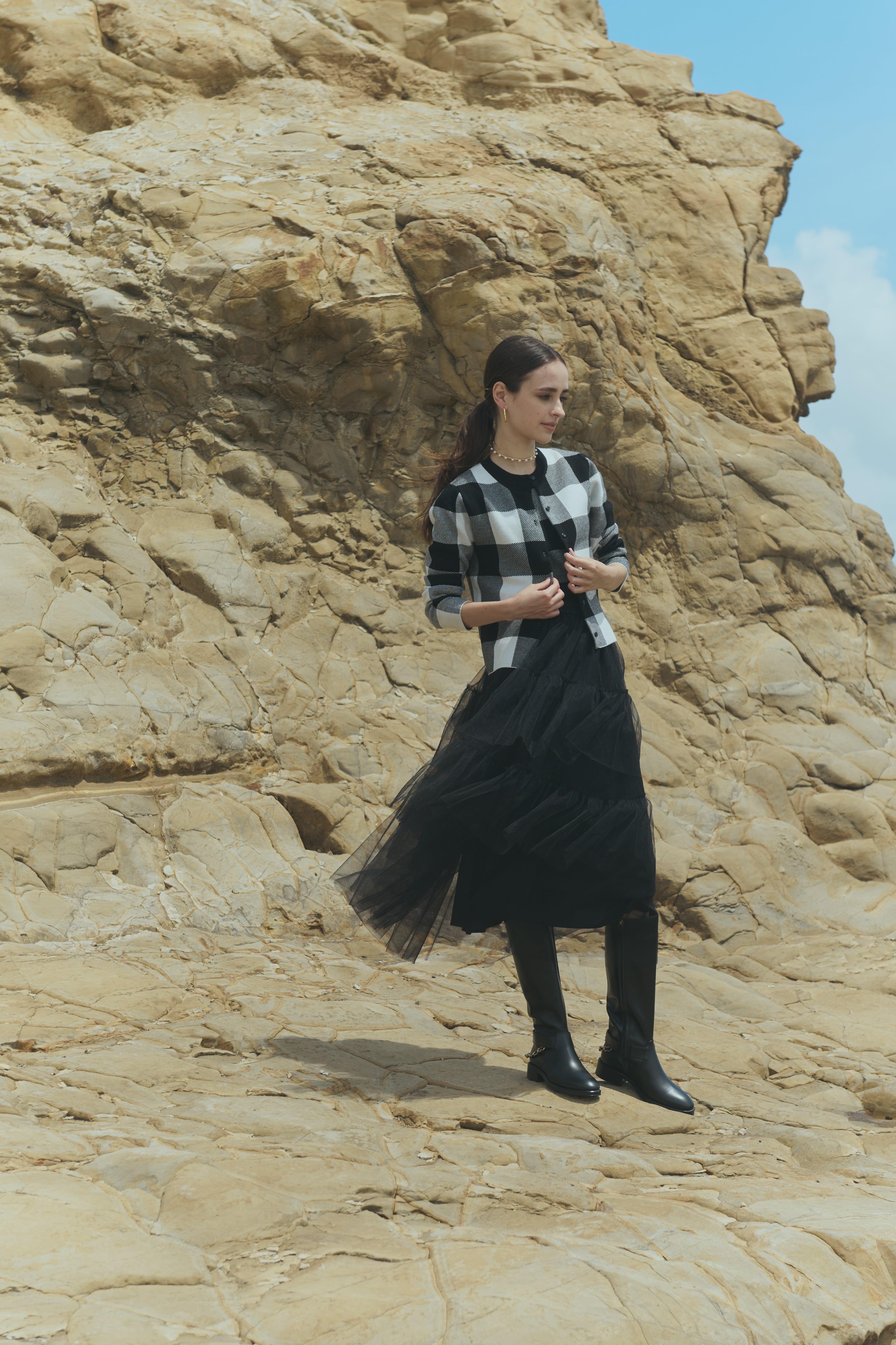 Tulle tiered skirt | Bluelea